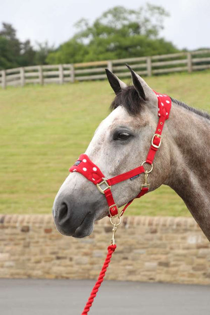 Supreme Products Dotty Fleece Head Collar & Lead Rope