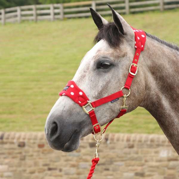 Supreme Products Dotty Fleece Head Collar & Lead Rope