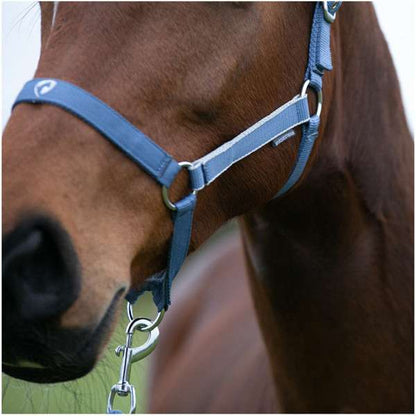Hy Equestrian Synergy Head Collar