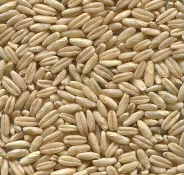 Naked Oats 25kg