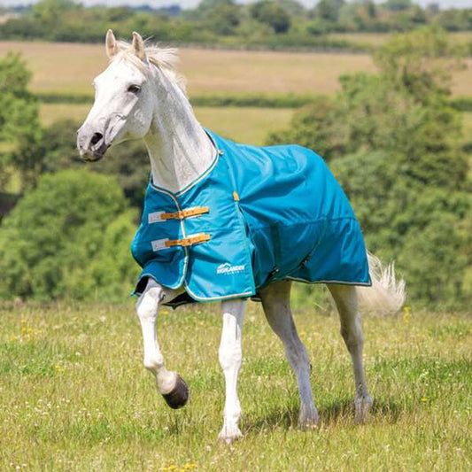 Shires Highlander Original Lite Turnout Rug Teal