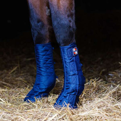 Equilibrium Equi-Chaps Stable Chaps Blue