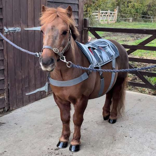 Equilibrium Pony Massage Pad