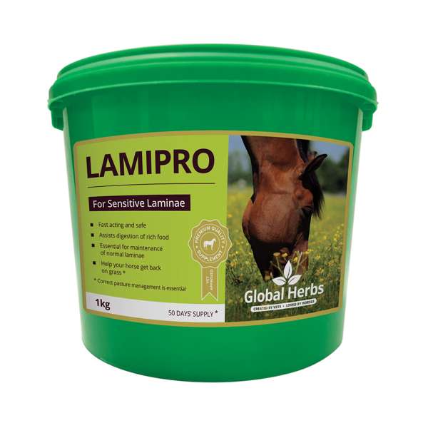 Global Herbs Lamipro Powder 1kg - Free P&P