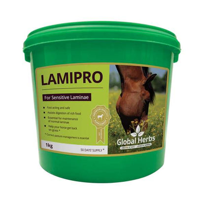 A green plastic tub of Global Herbs Lamipro sensitive laminae supplement for horses, featuring a yellow-green label with a horse photo and product details.