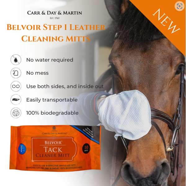 Carr & Day & Martin Belvoir Tack Cleaning Mitts Pack of 10