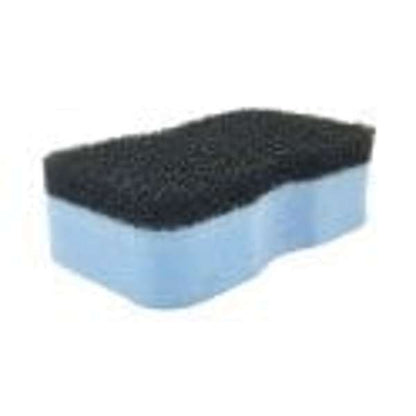 April Shower Sponge