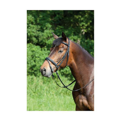 Kieffer Ergonomic Line Snaffle Bridle Black