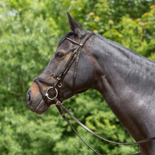 Kieffer Ultrasoft Tara Snaffle Bridle