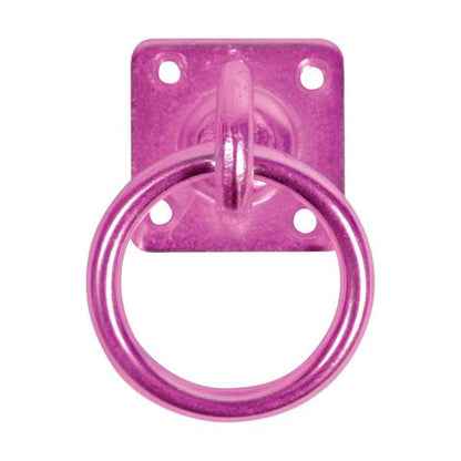 Perry Equestrian Swivel Tie Ring On Plate