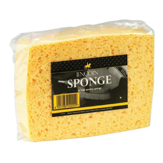 Lincoln Sponge