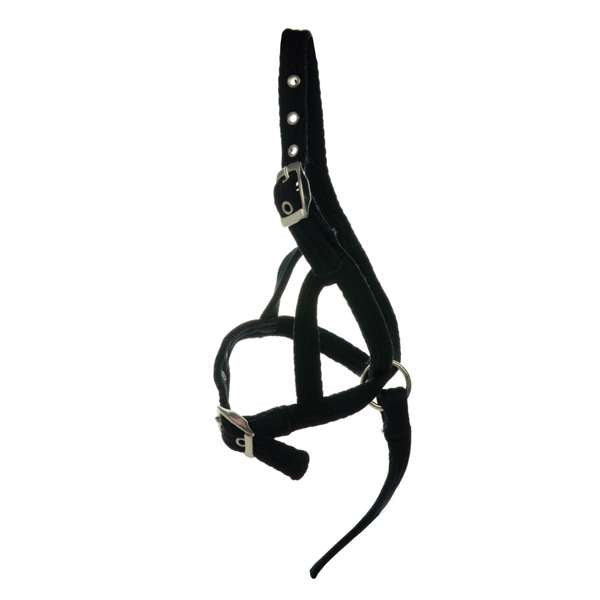 Hy Equestrian Foal Slip Halter Black