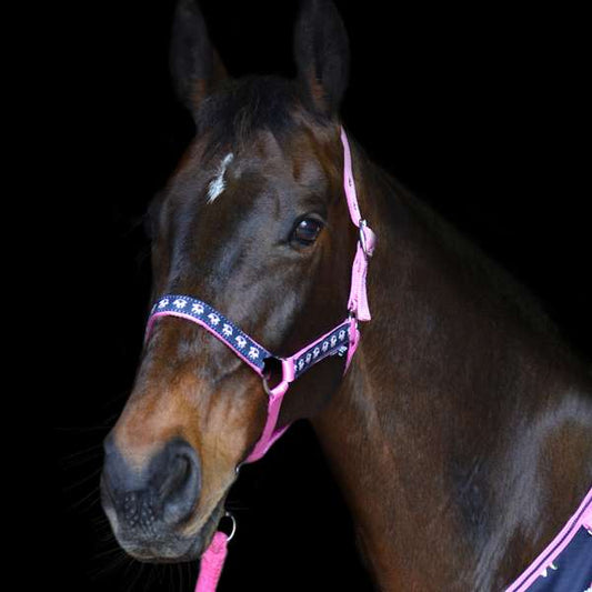 Hy Equestrian Unicorn Head Collar & Lead Rope Navy/Pink