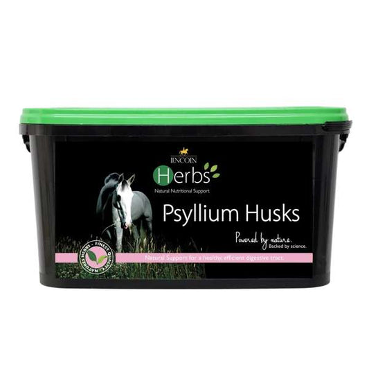 Lincoln Herbs Psyllium Husks 1.5kg
