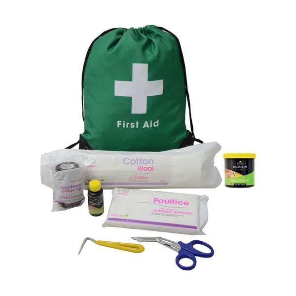 Lincoln First Aid Travel Bag