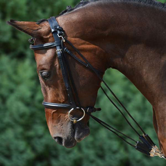 Hy Equestrian De Gouge