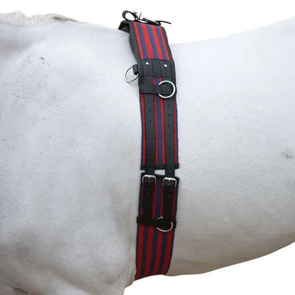 Hy Equestrian Training Roller Blue/Red