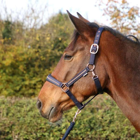 Hy Equestrian Sparkling Head Collar & Lead Rope Set