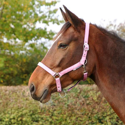 Hy Equestrian Glitzy Headcollar