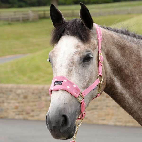 Supreme Products Dotty Fleece Head Collar & Lead Rope
