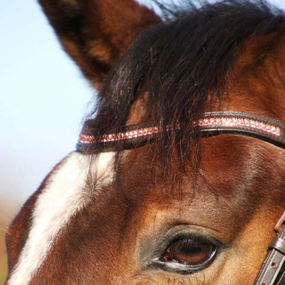 Hy Equestrian Rosciano Rose Gold Brow Band