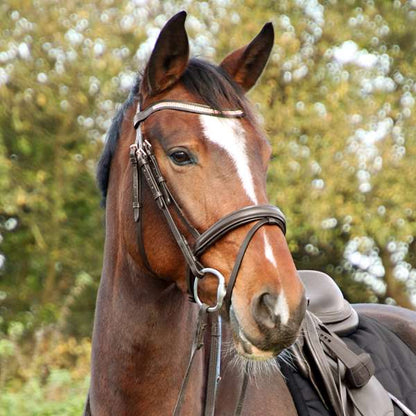 Hy Equestrian Rosciano Rose Gold Bridle