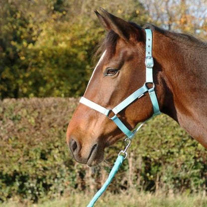 Hy Equestrian Ombre Head Collar & Lead Rope