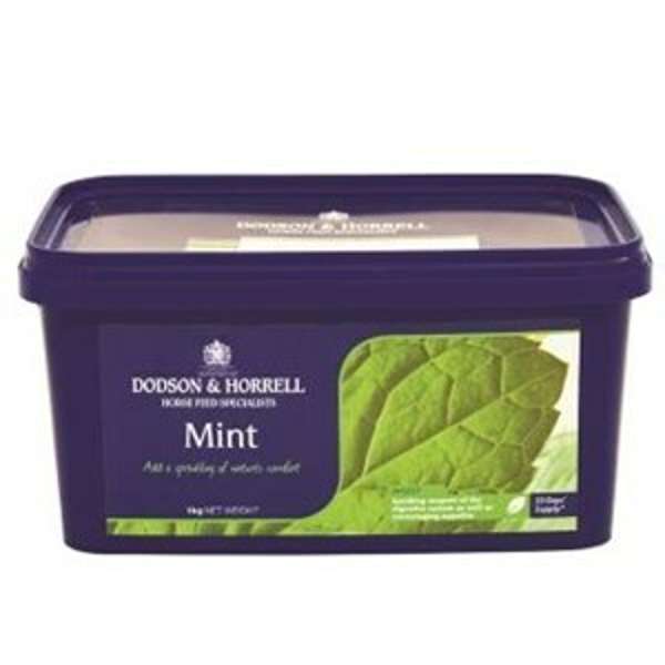 Dodson & Horrell Mint 1kg Tub