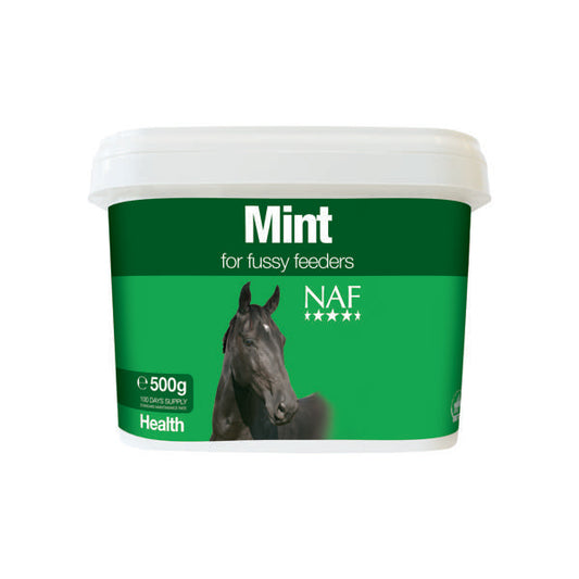 NAF Mint 500g