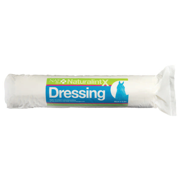 NAF NaturalintX Dressing 500g