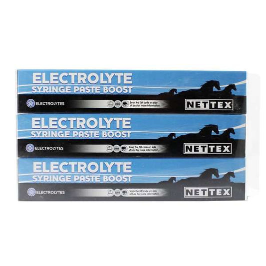 Nettex Electrolyte Syringe Paste Boost 30ml 3 Pack