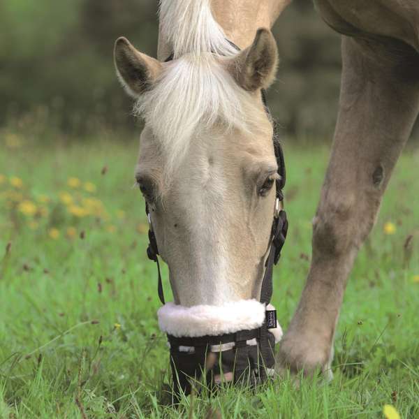 Shires Deluxe Comfort Grazing Muzzle Black