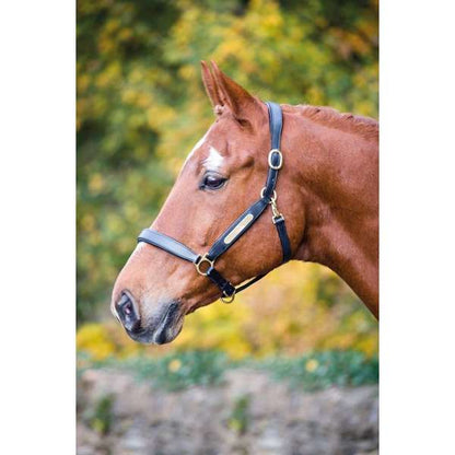 Shires Velociti Gara Leather Nameplate Headcollar