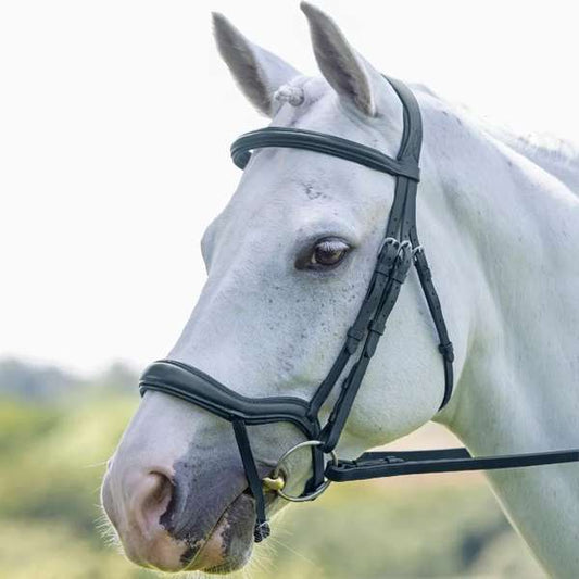 Shires Rapida Ergonomic Flash Bridle