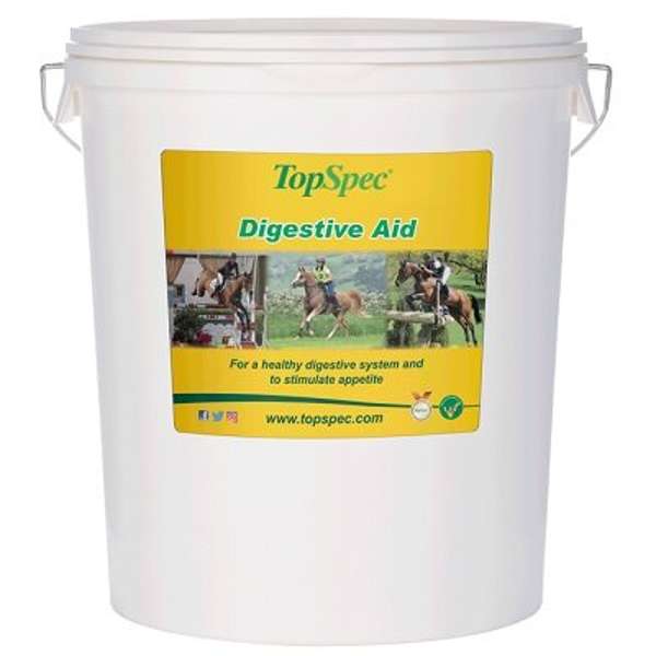 TopSpec Digestive Aid