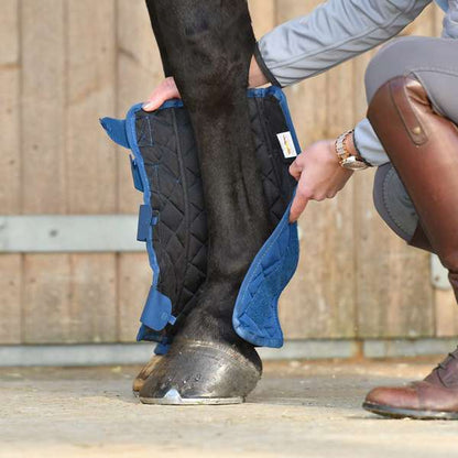 Equilibrium Equi-Chaps Stable Chaps Blue