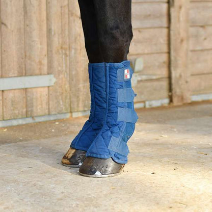 Equilibrium Equi-Chaps Stable Chaps Blue