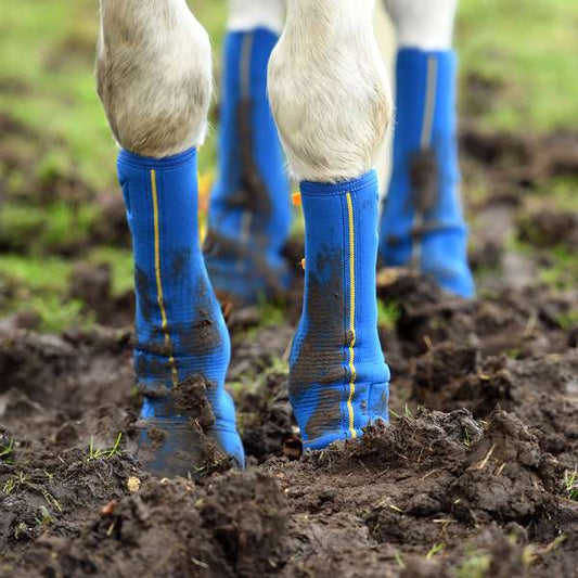 Equilibrium Equi-Chaps Close Contact Chaps Navy