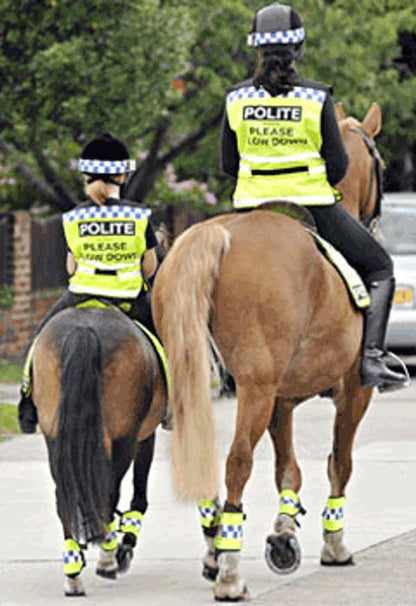 Equisafety Polite Waistcoat Please Slow Down