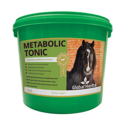 Global Herbs Metabolic Tonic 1kg