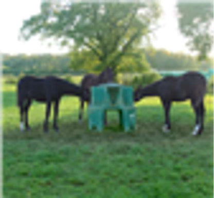 Jfc Ringfort Foal Feeder