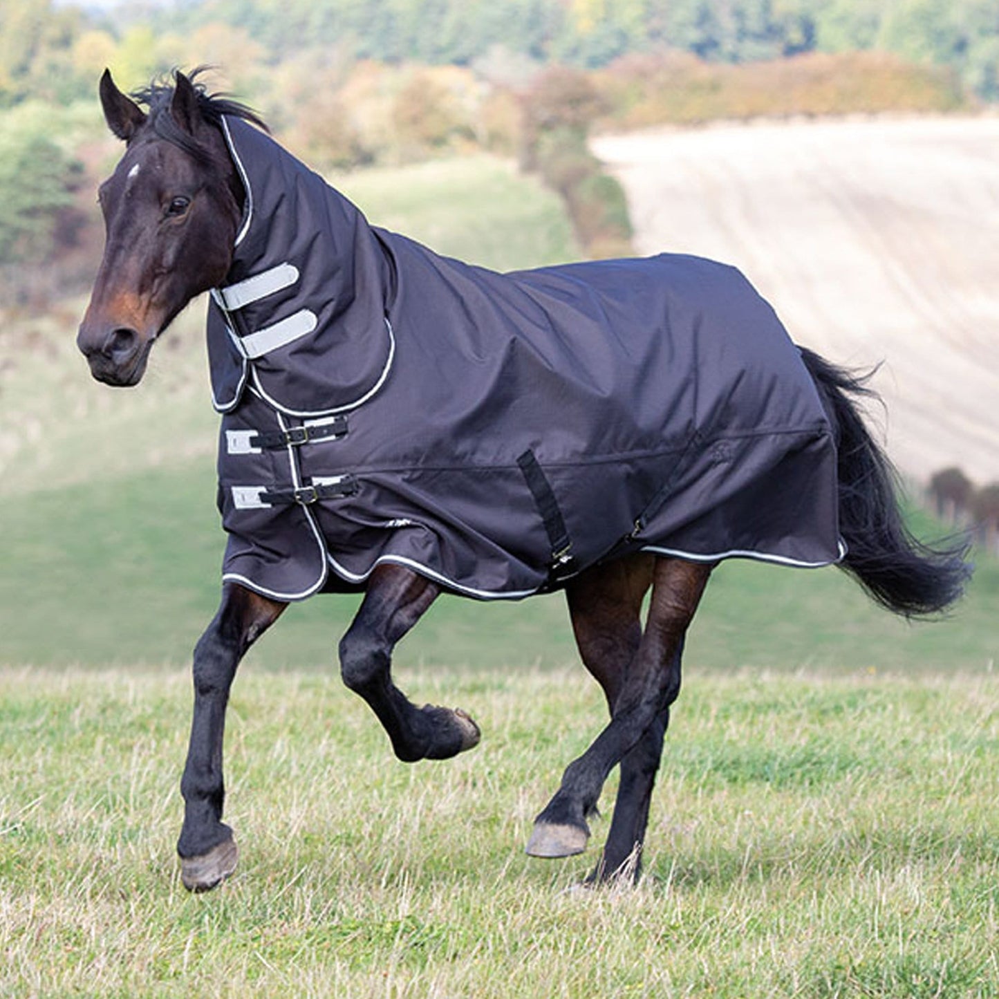 Shires Tempest Plus 300 Turnout Combo Rug
