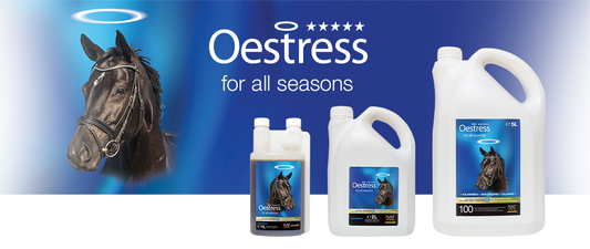 NAF Five Star Oestress Liquid for Horses