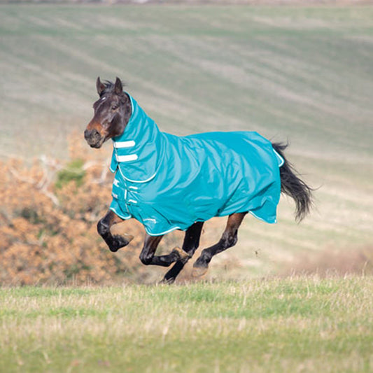 Shires Tempest Plus 300 Turnout Combo Rug